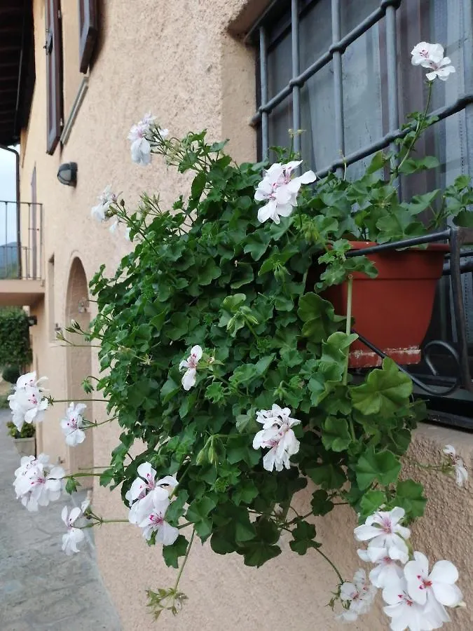 Bed & Breakfast B&B Ronco Degli Ulivi Iseo